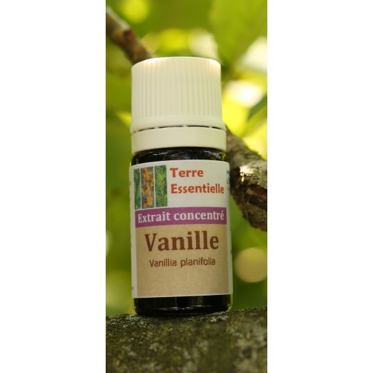 Extrait 400 Vanille CONVENTIONNELLE (1 litre)